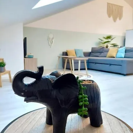 Apartment Du Chateau Luneville